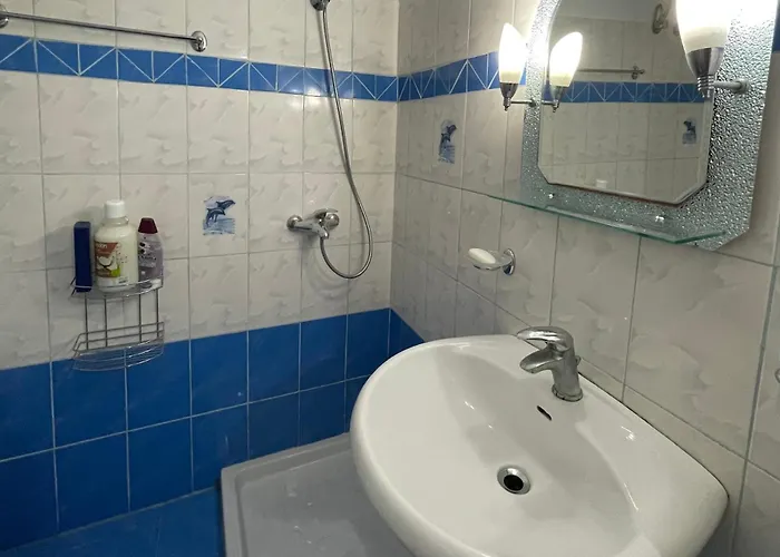 民宿 Hidden Behind The Dictator